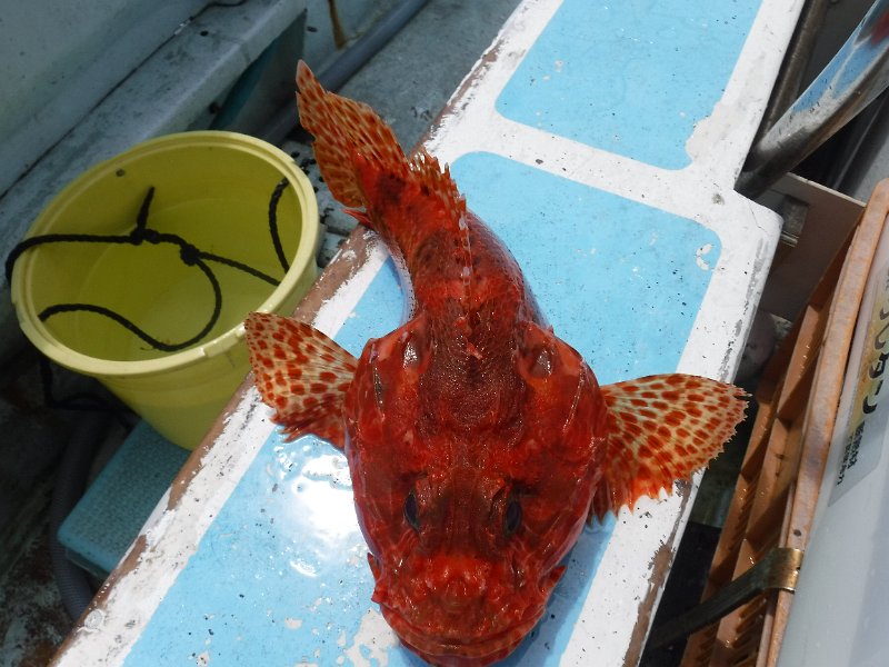 DSCF4761.JPG