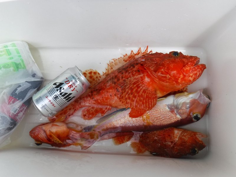 DSCF4763.JPG