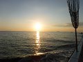 DSCF4751
