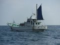 DSCF4779