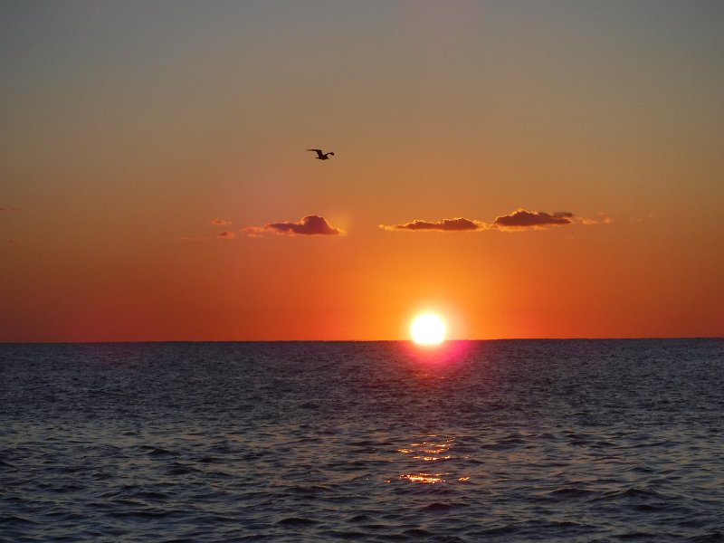 DSCF4789.JPG
