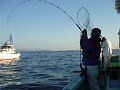 DSCF4797