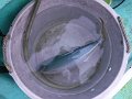 DSCF4798