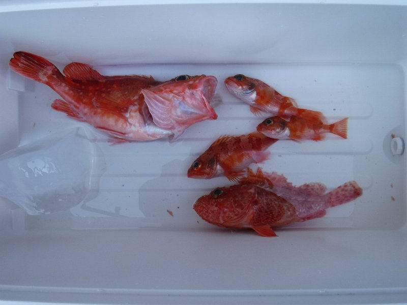 DSCF4852.JPG