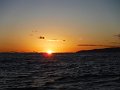 DSCF4859