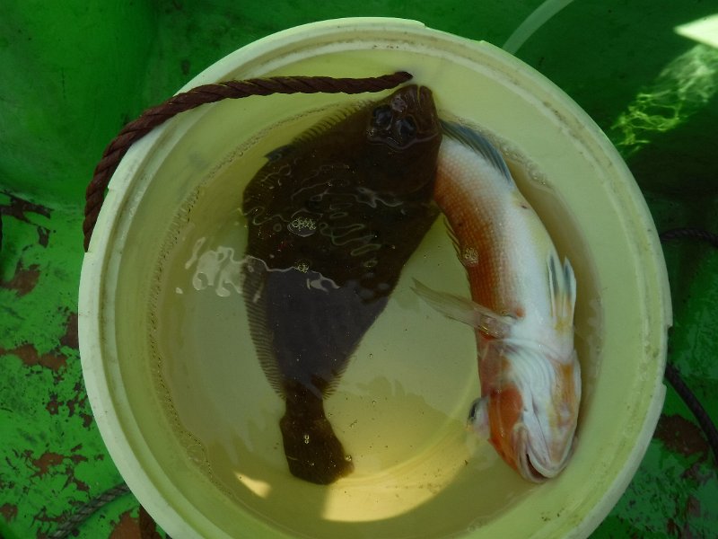 DSCF4882.JPG