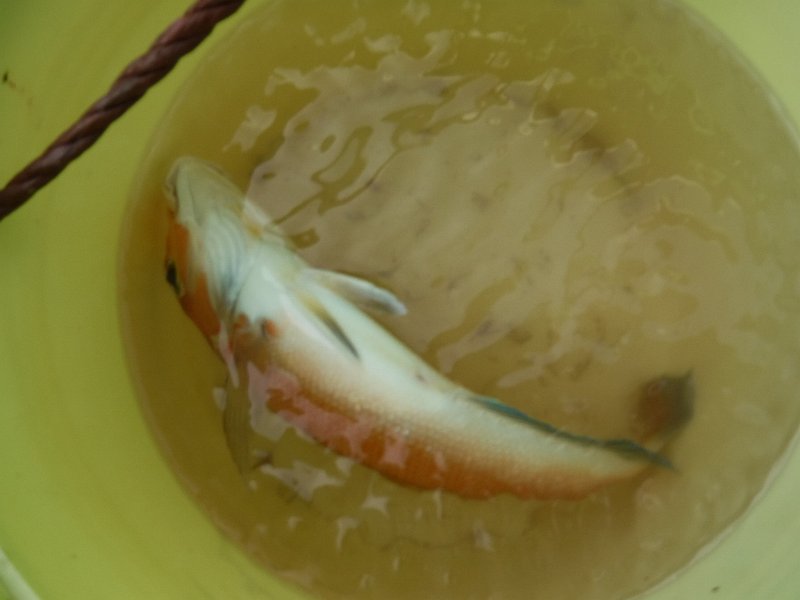 DSCF4886.JPG