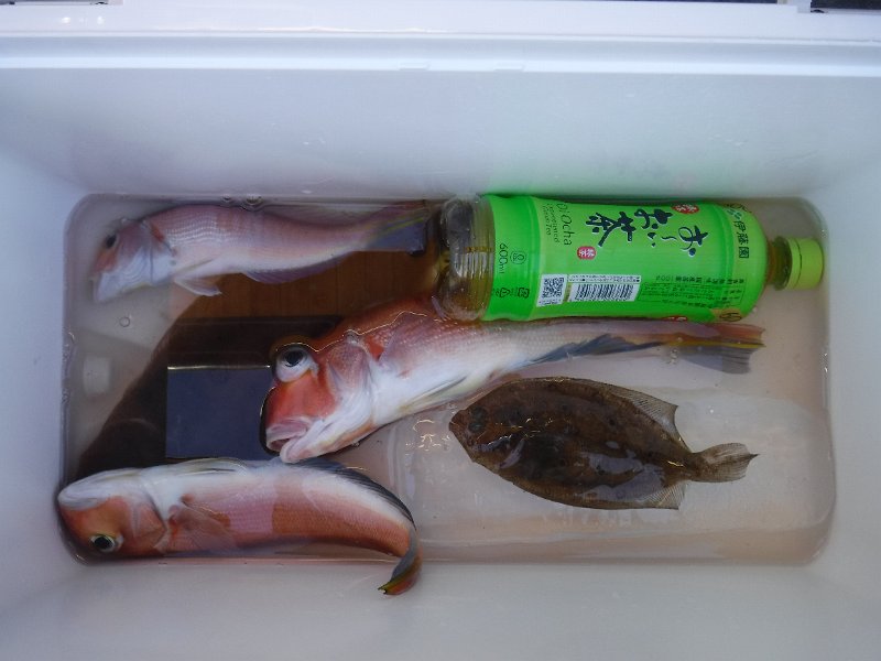 DSCF4890.JPG