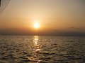 DSCF4914