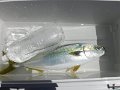 DSCF5014
