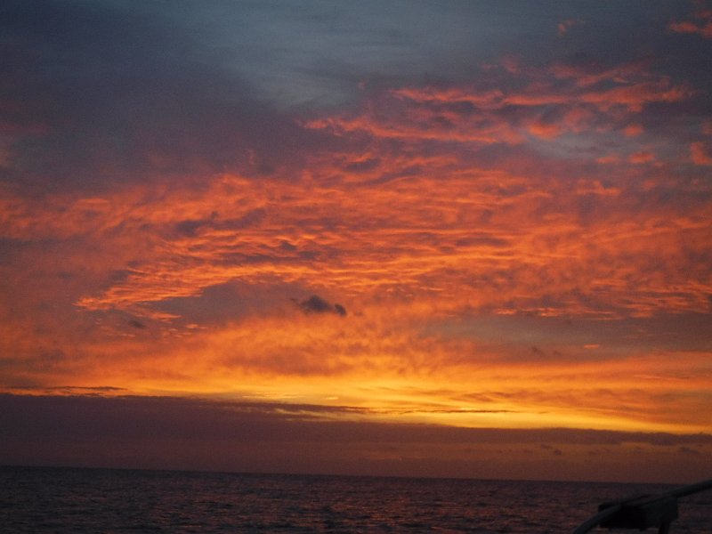 DSCF5133.JPG
