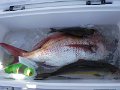 DSCF5157