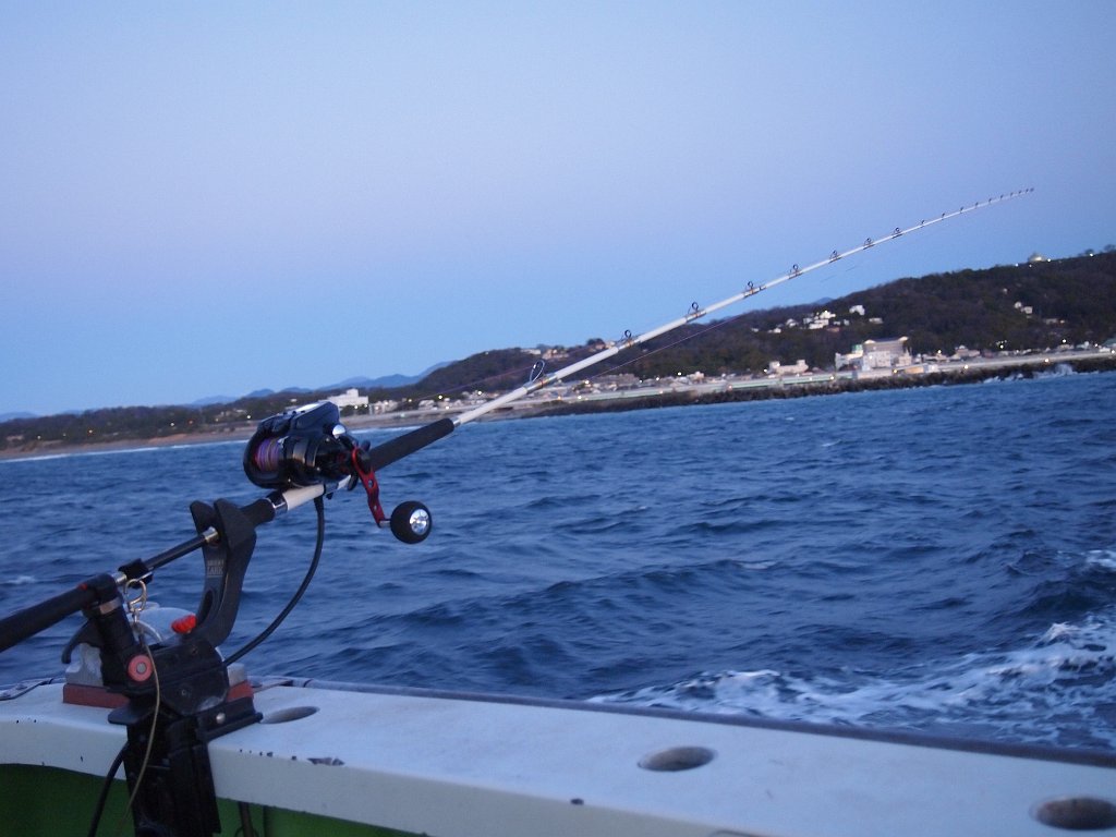 P1254323.JPG