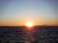 DSCF5177