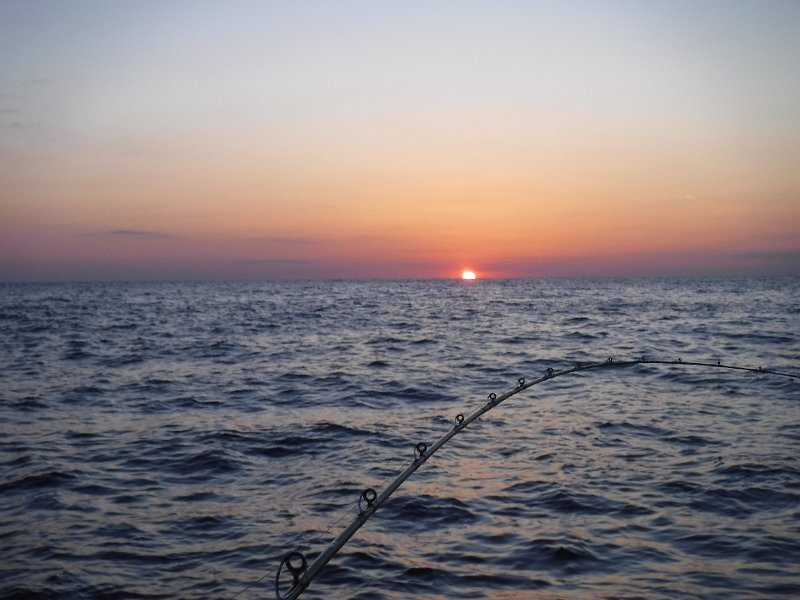 DSCF5190.JPG