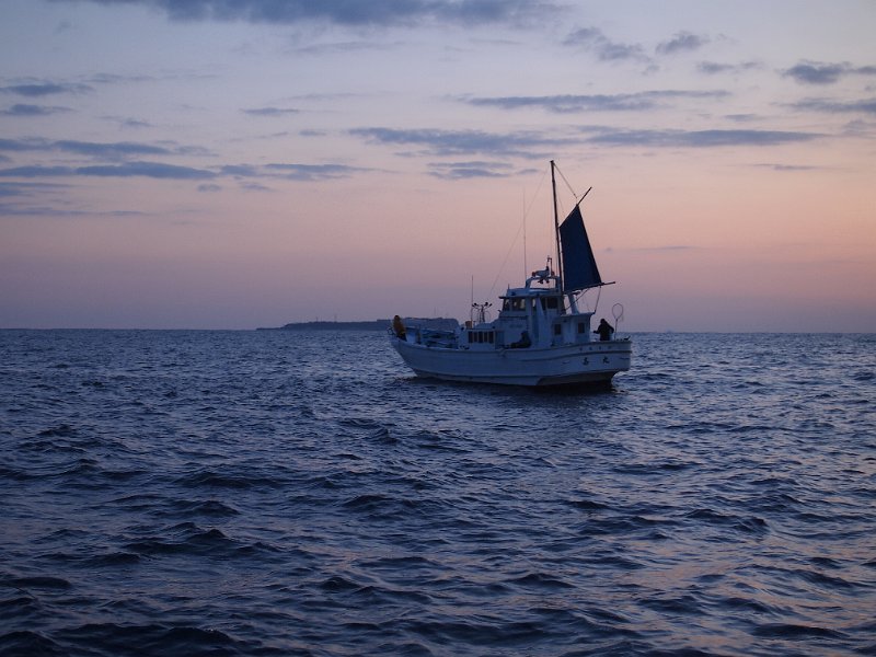 P3144344.JPG