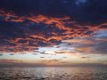 DSCF7011