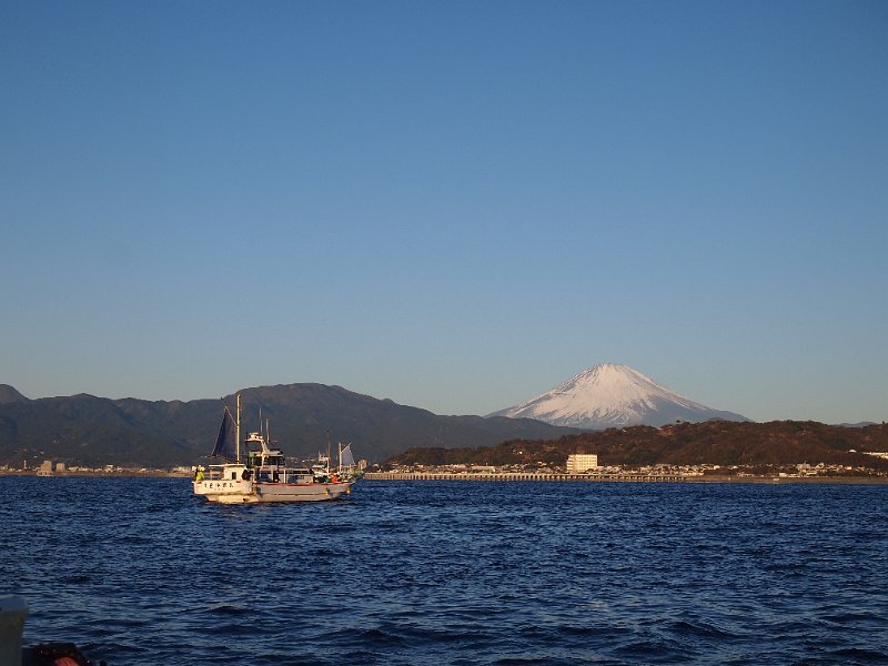 P2204420.JPG