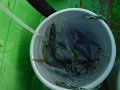 DSCF7090