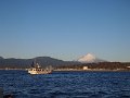 P2204420