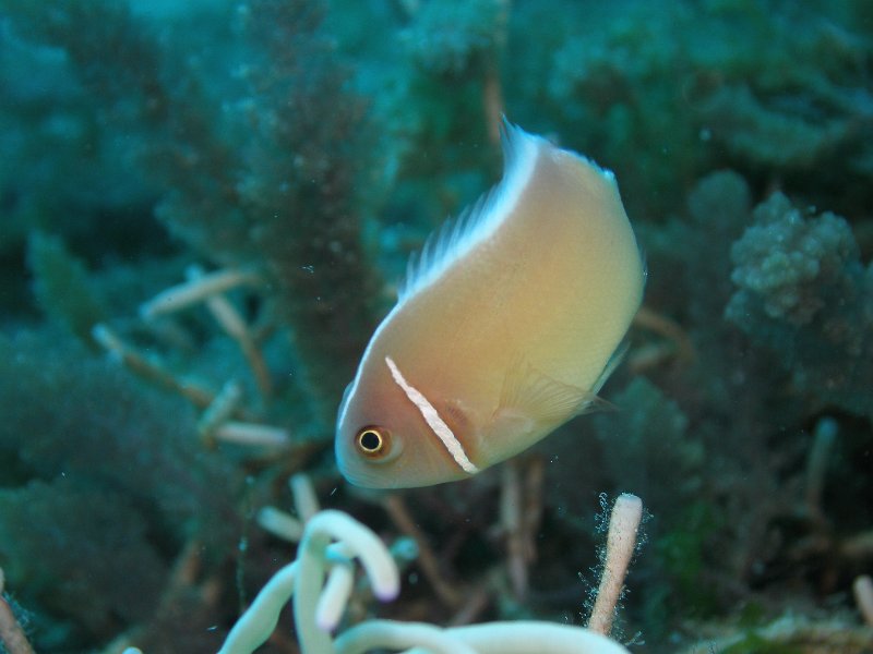 P4160554.JPG