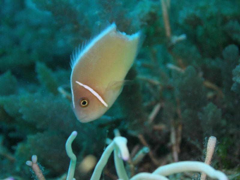 P4160555.JPG