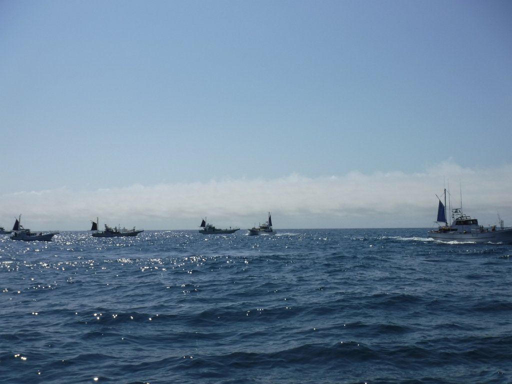 DSCF7171.JPG