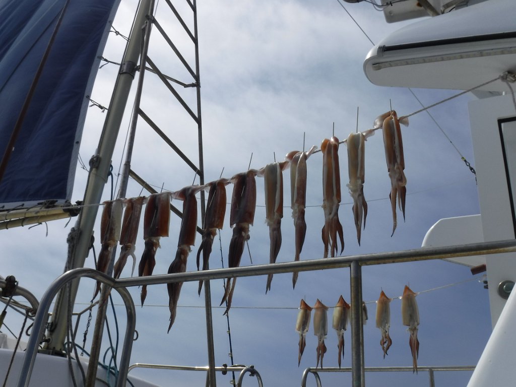 DSCF7172.JPG
