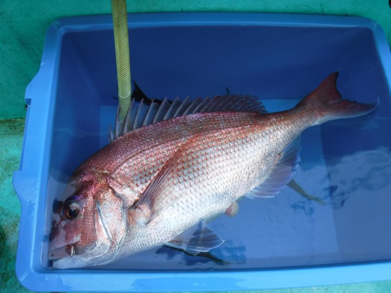 DSCF7258.JPG