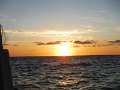 DSCF7227
