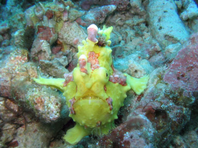 image3