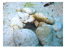 thumbnail2