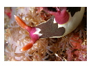 thumbnail10