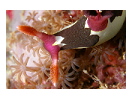 thumbnail12