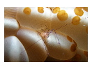 thumbnail22