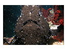 thumbnail27