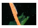 thumbnail28