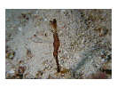 thumbnail3