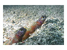 thumbnail5