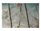 thumbnail6