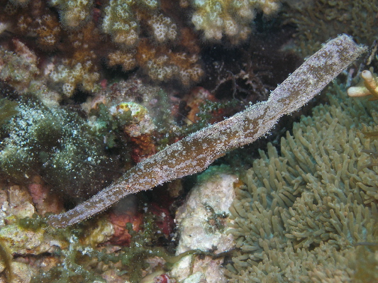 image15