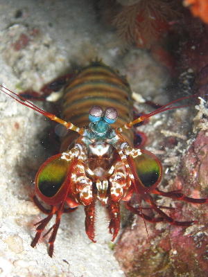 image23