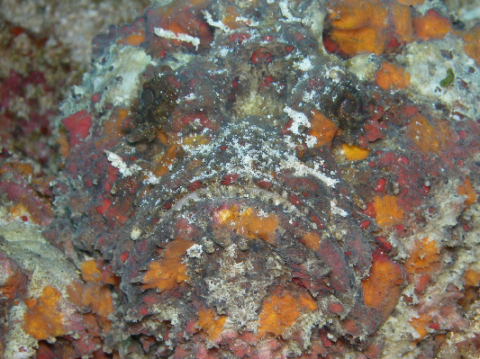 image7