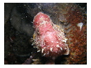 thumbnail2