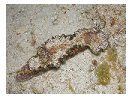 thumbnail22