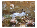 thumbnail26