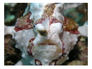 thumbnail4