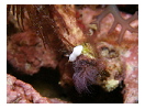thumbnail6