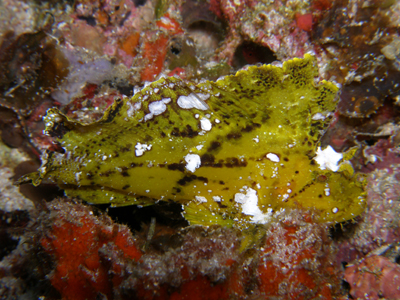 image3