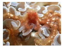 thumbnail1